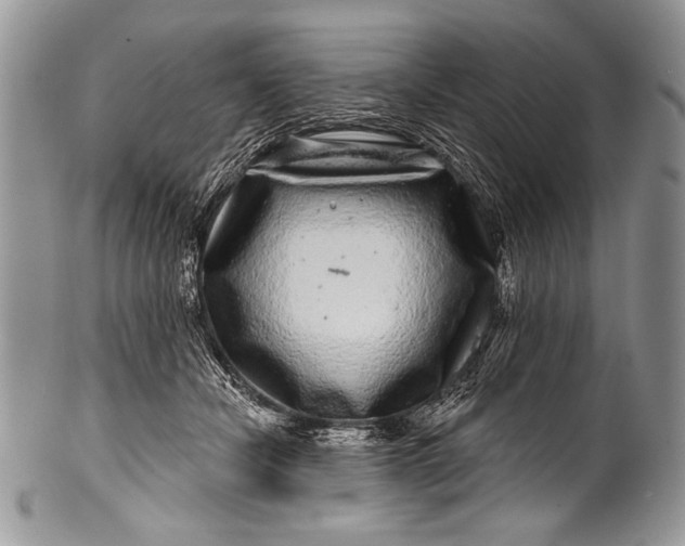 X0000100390462200806201718