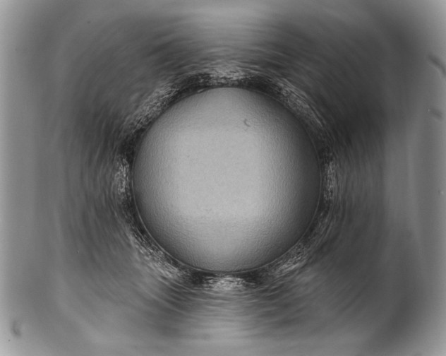 X0000100390463200806201718