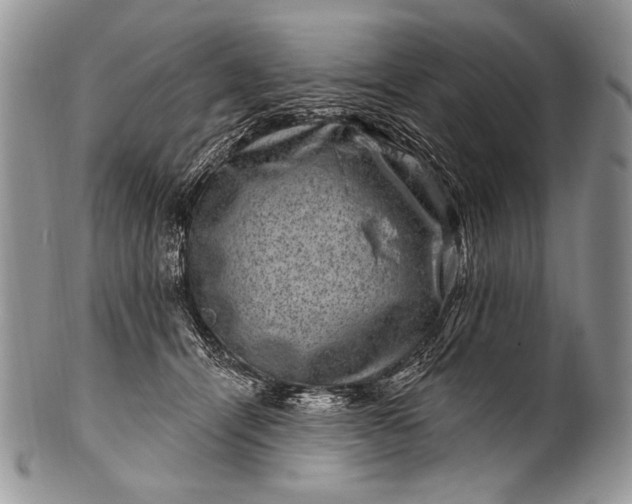 X0000100390464200806201718