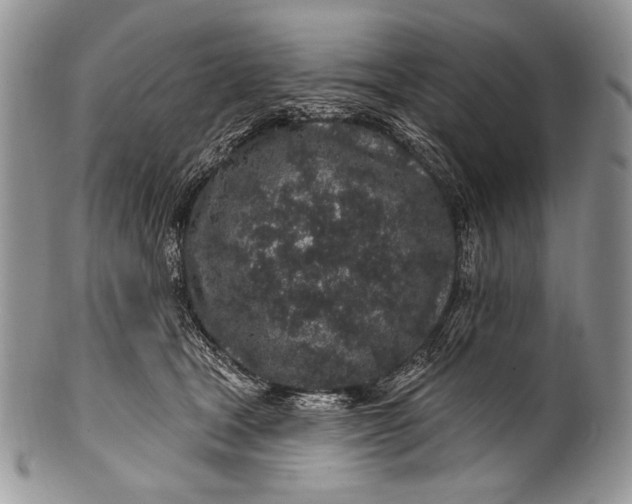 X0000100390465200806201718