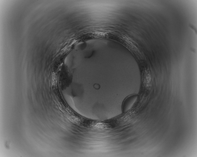 X0000100390467200806201718