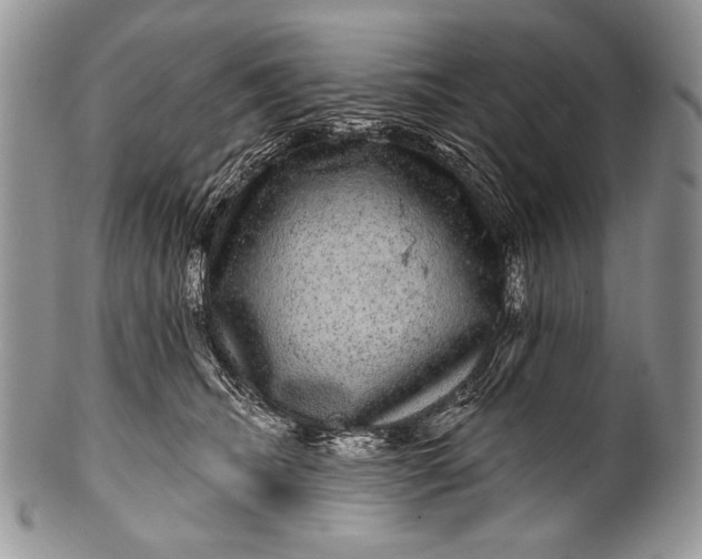 X0000100390468200806201718