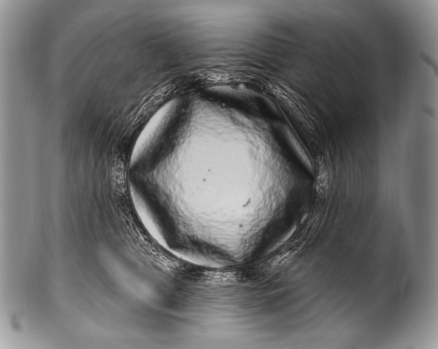 X0000100390469200806201718