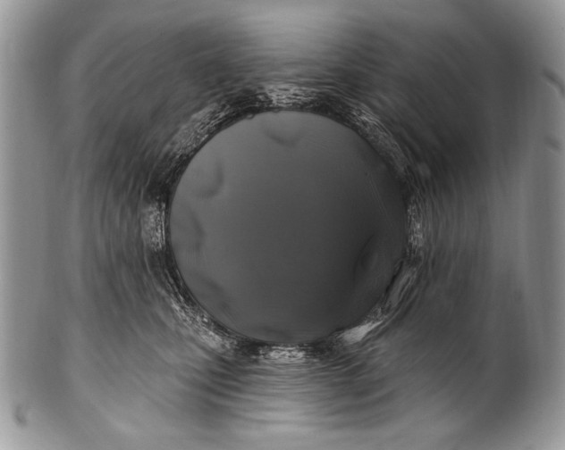 X0000100390471200806201718