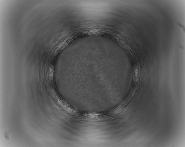 X0000100390472200806201718