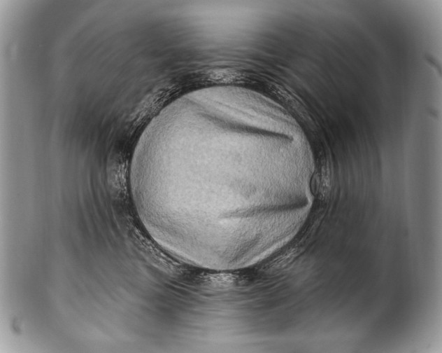 X0000100390473200806201718