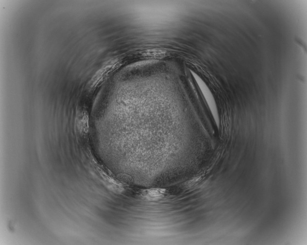 X0000100390474200806201718