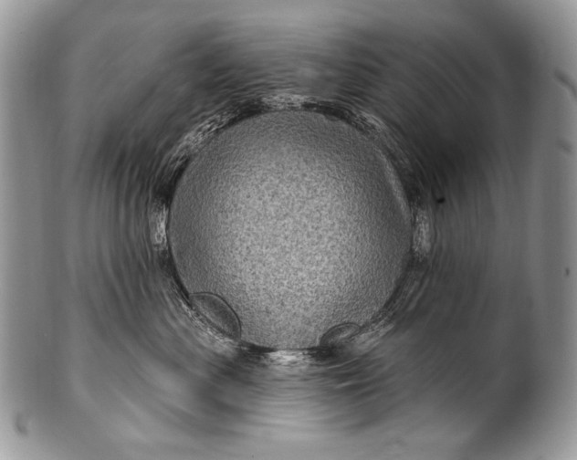 X0000100390477200806201718