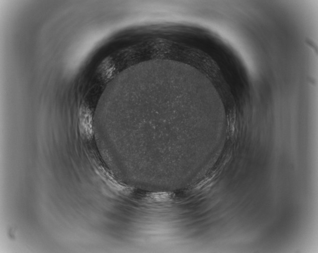 X0000100390479200806201718