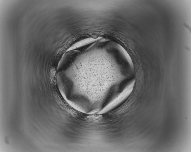 X0000100390480200806201718