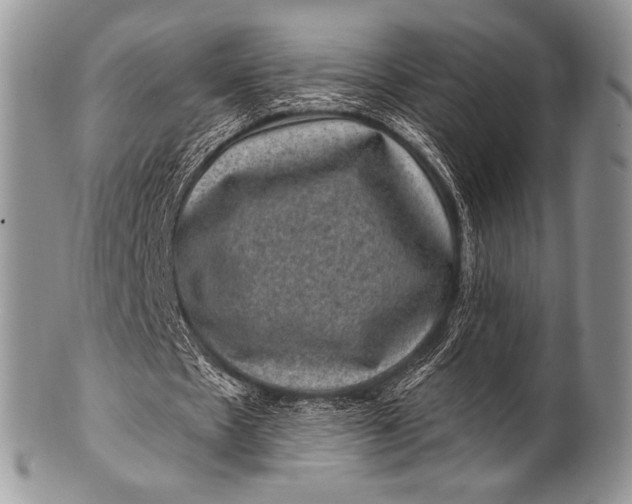 X0000100390481200806201717