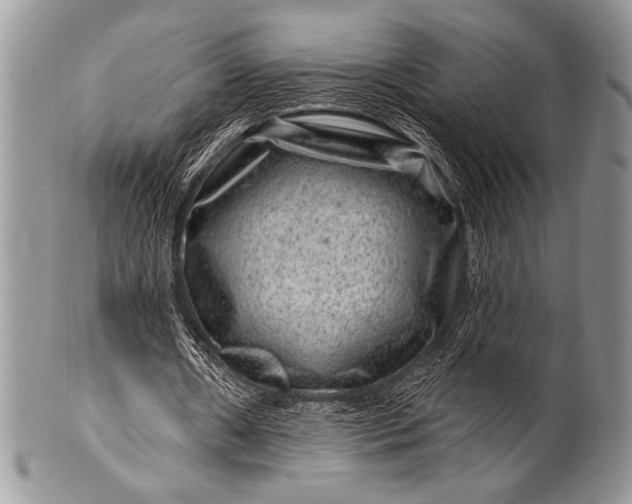 X0000100390482200806201717