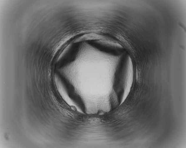 X0000100390483200806201717