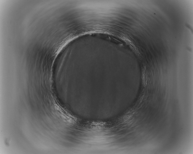 X0000100390484200806201717