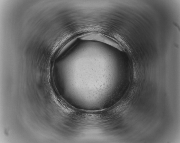 X0000100390486200806201717