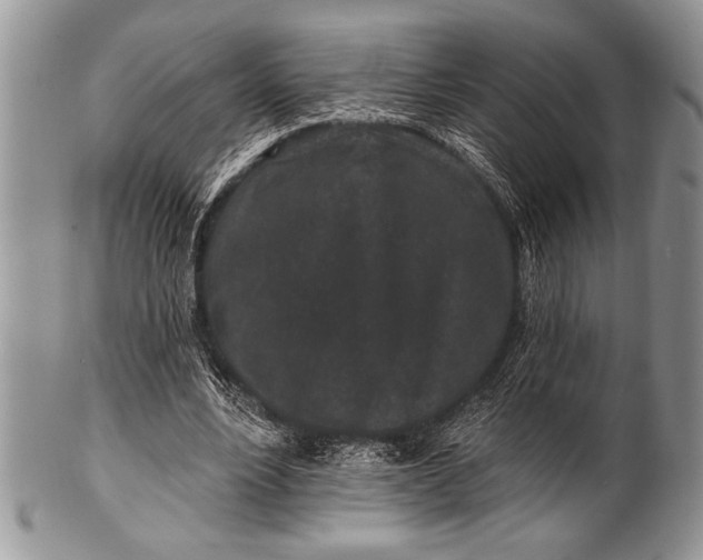 X0000100390488200806201717