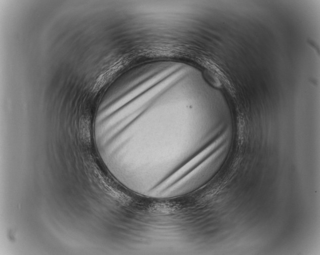 X0000100390489200806201717