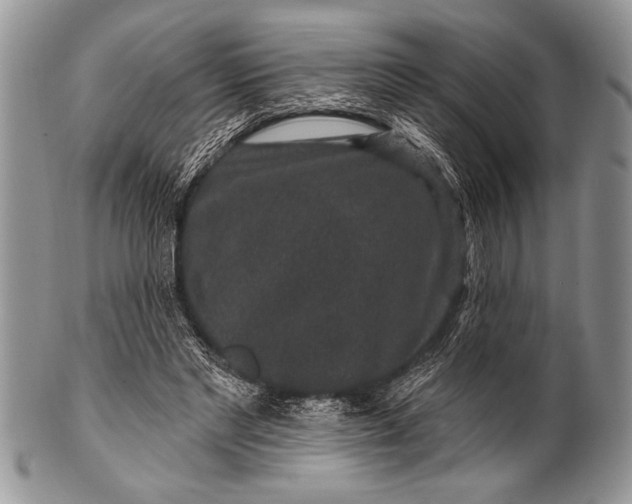 X0000100390493200806201717