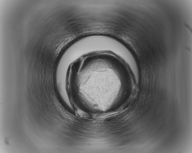 X0000100390495200806201717