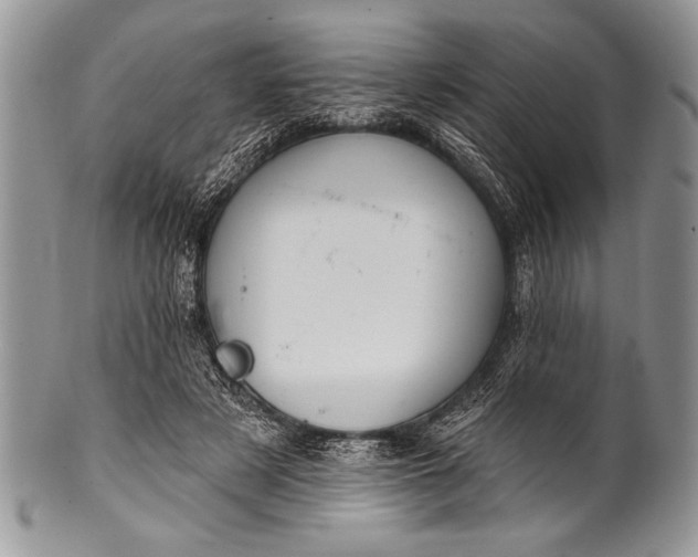 X0000100390497200806201717