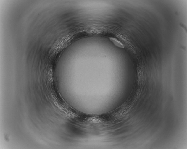 X0000100390498200806201717