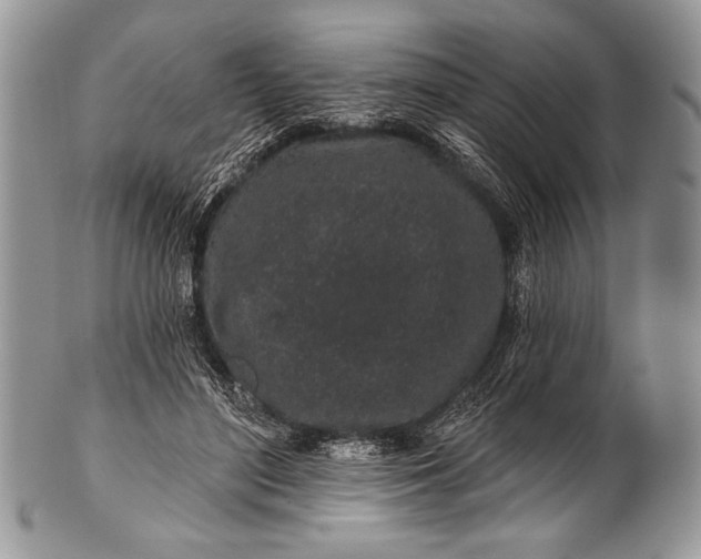 X0000100390500200806201717