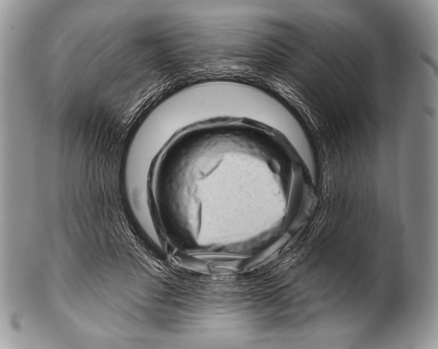 X0000100390501200806201717