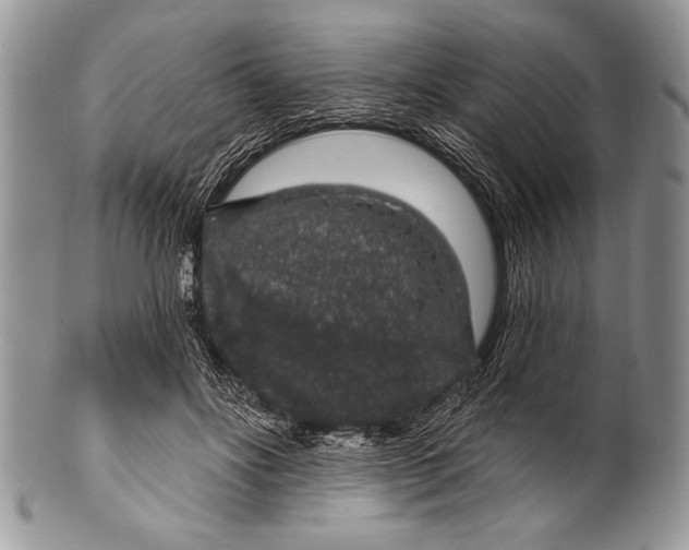 X0000100390502200806201717