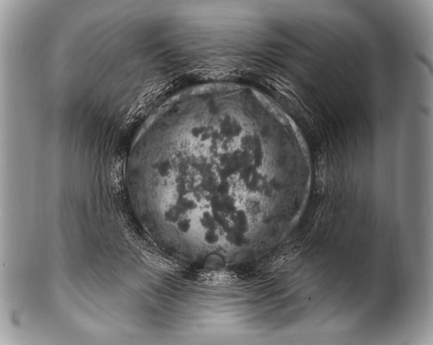 X0000100390503200806201717