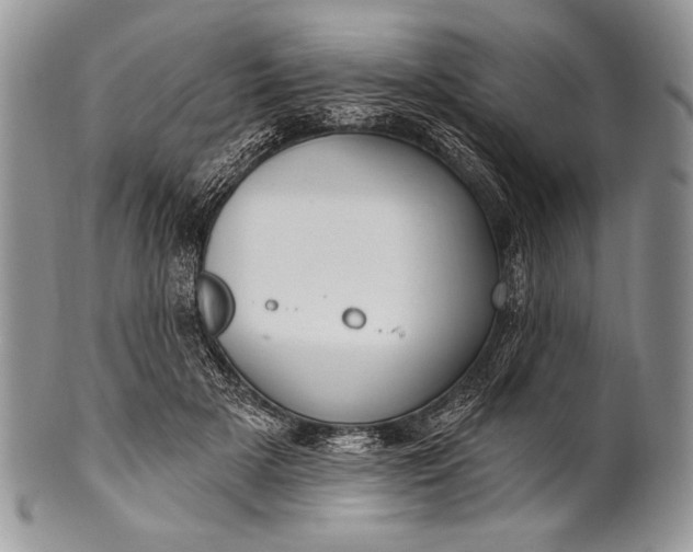 X0000100390505200806201717