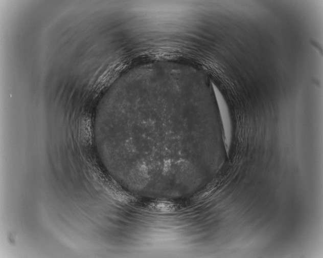 X0000100390506200806201717