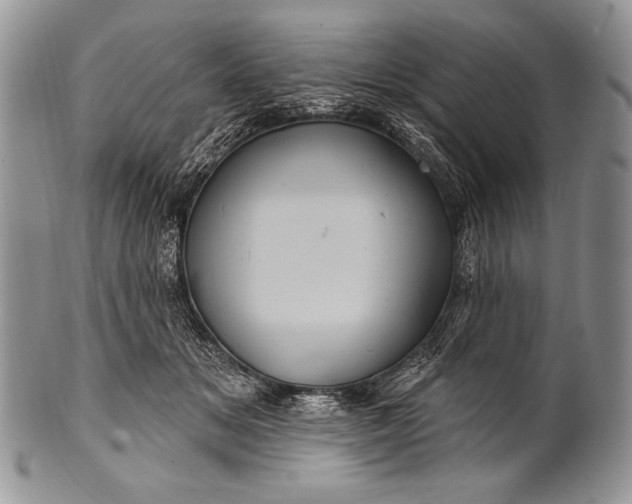 X0000100390509200806201717