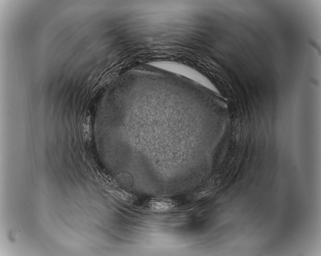 X0000100390510200806201717