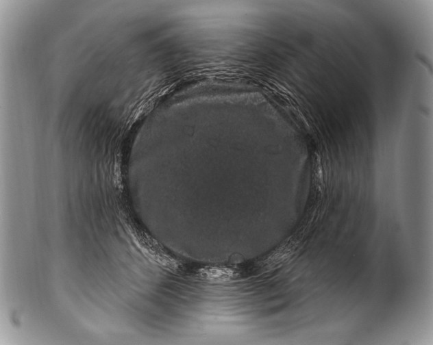 X0000100390512200806201717