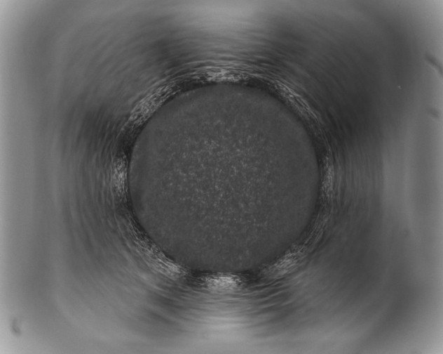 X0000100390513200806201717