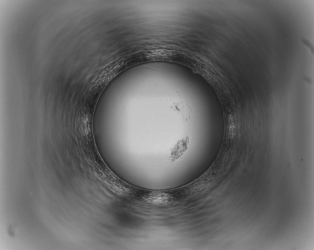 X0000100390514200806201717