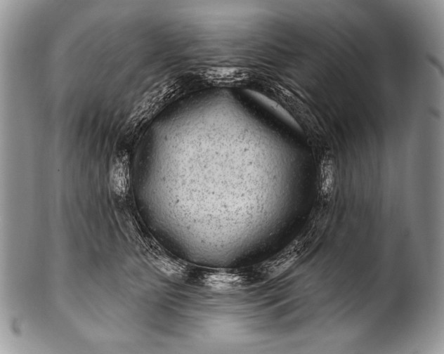 X0000100390515200806201717