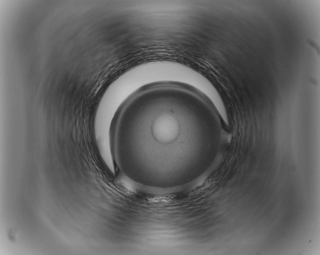 X0000100390516200806201717