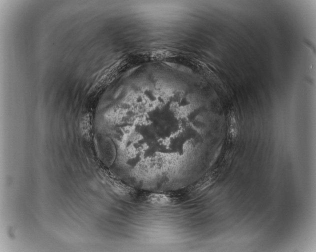 X0000100390519200806201716