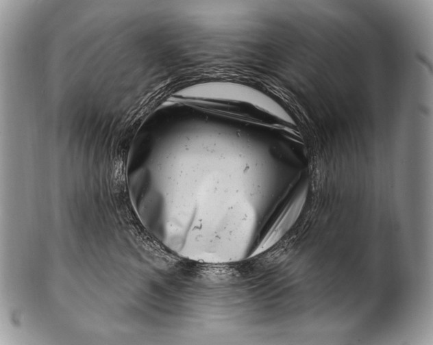 X0000100390521200806201716