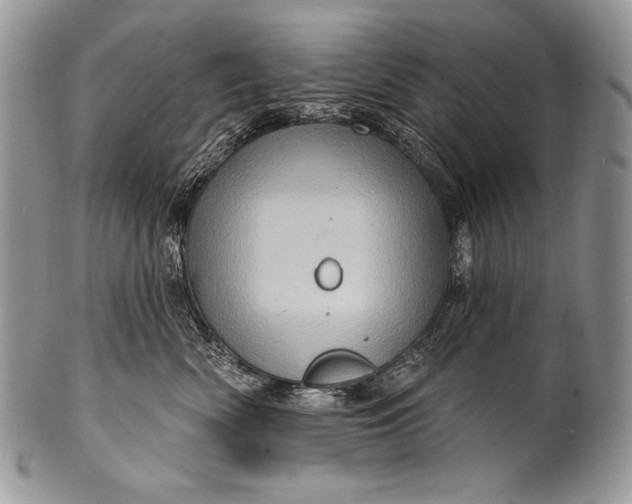 X0000100390522200806201716