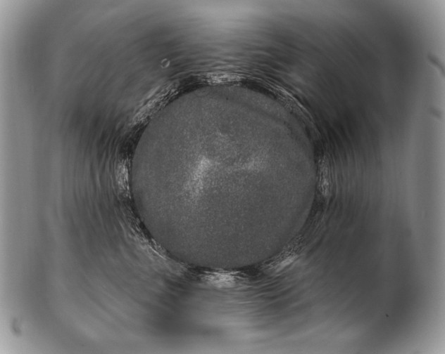 X0000100390523200806201716