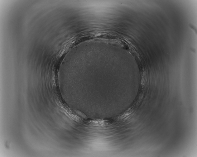 X0000100390524200806201716