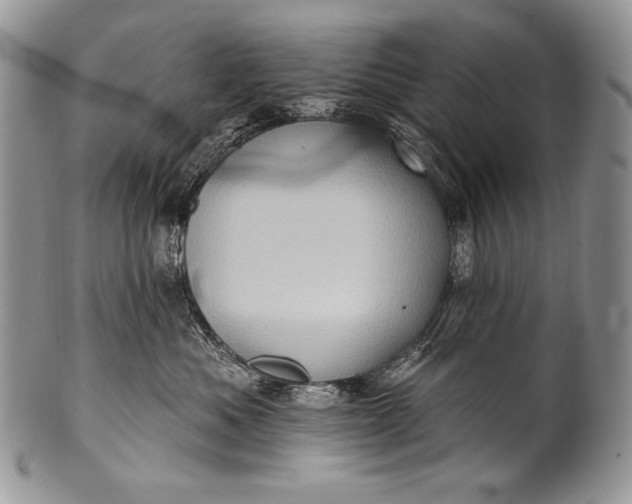 X0000100390525200806201716