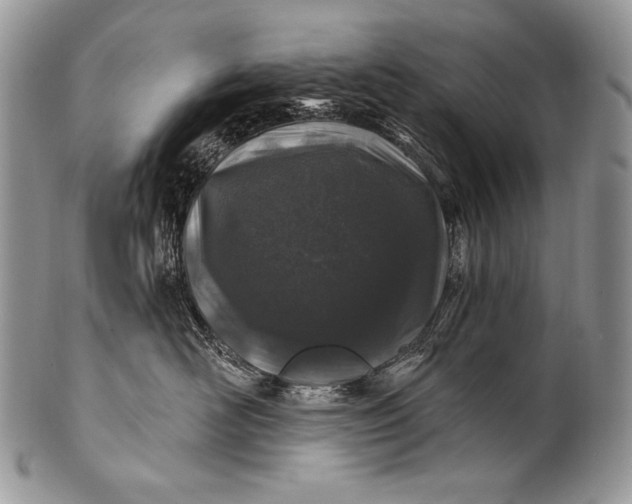 X0000100390526200806201716