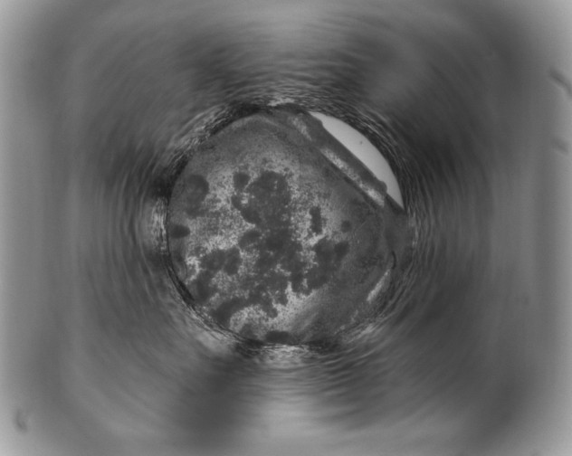 X0000100390527200806201716