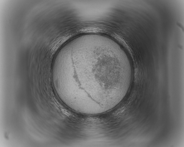 X0000100390529200806201716