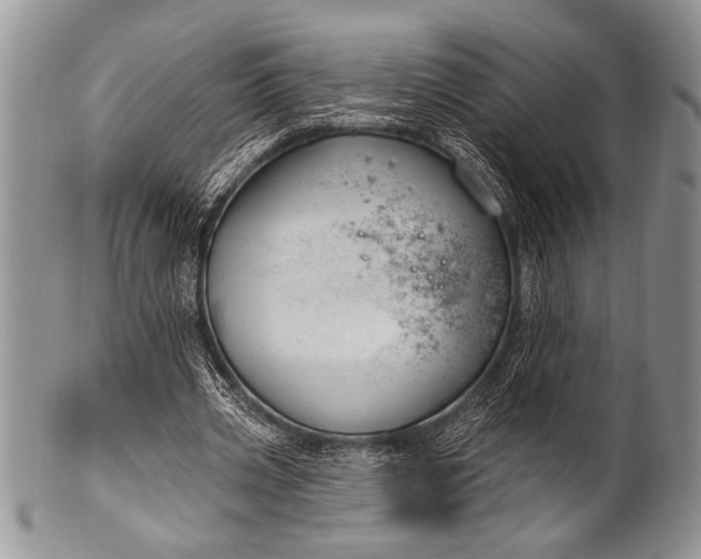 X0000100390533200806201716