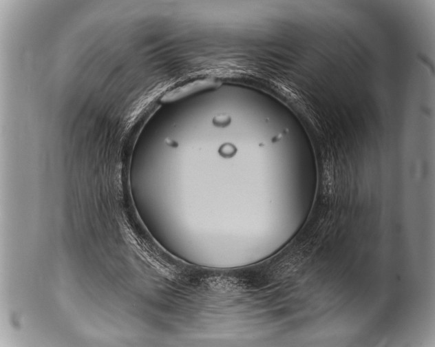 X0000100390535200806201716