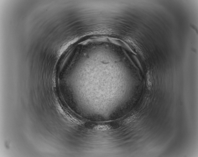 X0000100390536200806201716